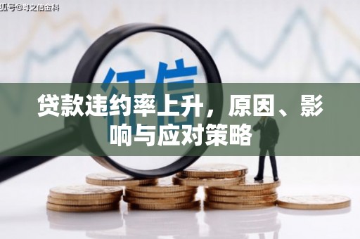 荔浦贷款违约率上升，原因、影响与应对策略