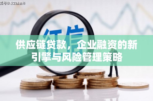 荔浦供应链贷款，企业融资的新引擎与风险管理策略