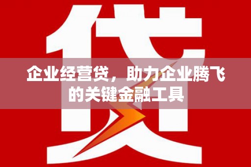 荔浦企业经营贷，助力企业腾飞的关键金融工具