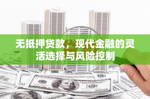 荔浦无抵押贷款，现代金融的灵活选择与风险控制