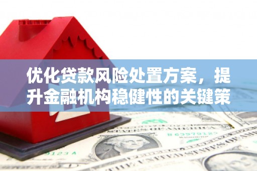 荔浦优化贷款风险处置方案，提升金融机构稳健性的关键策略