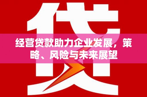 荔浦经营贷款助力企业发展，策略、风险与未来展望