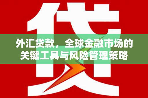 荔浦外汇贷款，全球金融市场的关键工具与风险管理策略
