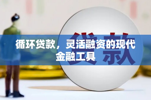 荔浦循环贷款，灵活融资的现代金融工具