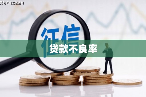 荔浦贷款不良率