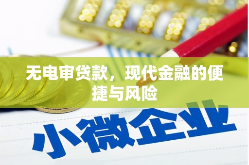 荔浦无电审贷款，现代金融的便捷与风险