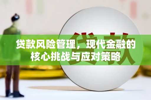 荔浦贷款风险管理，现代金融的核心挑战与应对策略