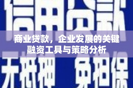 荔浦商业贷款，企业发展的关键融资工具与策略分析