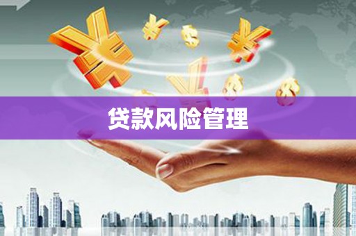 荔浦贷款风险管理