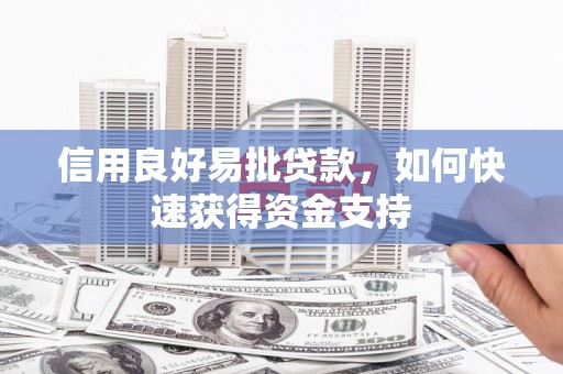 荔浦信用良好易批贷款，如何快速获得资金支持