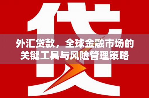 荔浦外汇贷款，全球金融市场的关键工具与风险管理策略