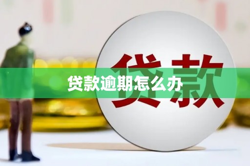 荔浦贷款逾期怎么办