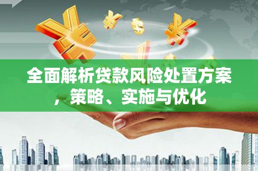 荔浦全面解析贷款风险处置方案，策略、实施与优化
