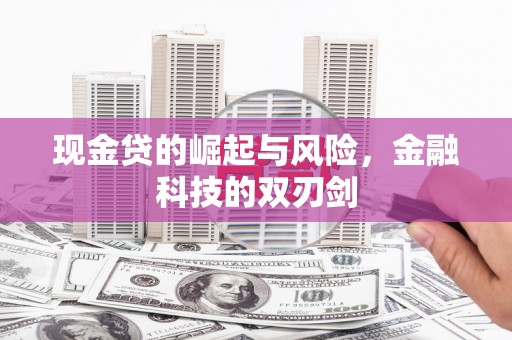 荔浦现金贷的崛起与风险，金融科技的双刃剑