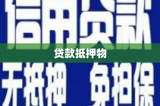 荔浦贷款抵押物