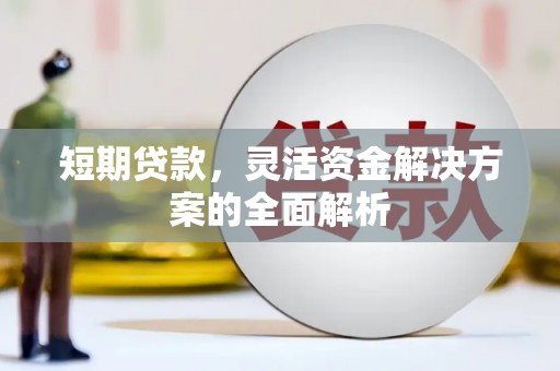 荔浦短期贷款，灵活资金解决方案的全面解析