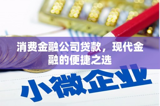 荔浦消费金融公司贷款，现代金融的便捷之选