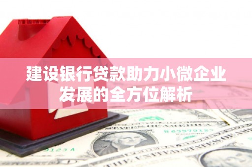 荔浦建设银行贷款助力小微企业发展的全方位解析