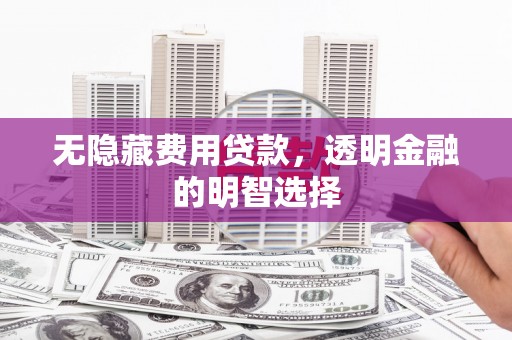 荔浦无隐藏费用贷款，透明金融的明智选择