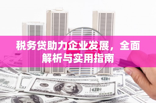 荔浦税务贷助力企业发展，全面解析与实用指南