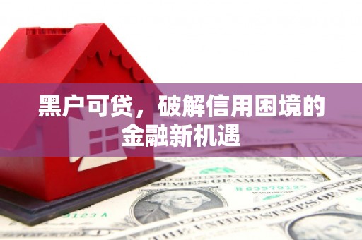 荔浦黑户可贷，破解信用困境的金融新机遇