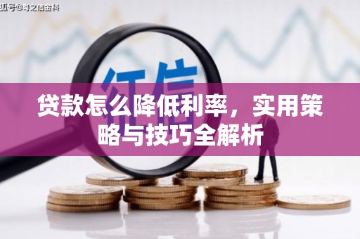荔浦贷款怎么降低利率，实用策略与技巧全解析