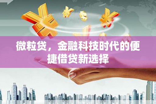 荔浦微粒贷，金融科技时代的便捷借贷新选择