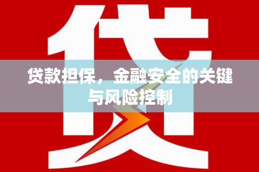 荔浦贷款担保，金融安全的关键与风险控制
