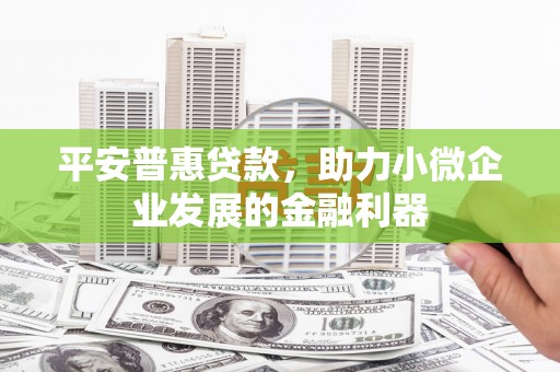 荔浦平安普惠贷款，助力小微企业发展的金融利器