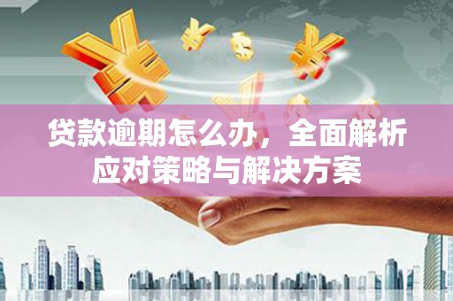 荔浦贷款逾期怎么办，全面解析应对策略与解决方案